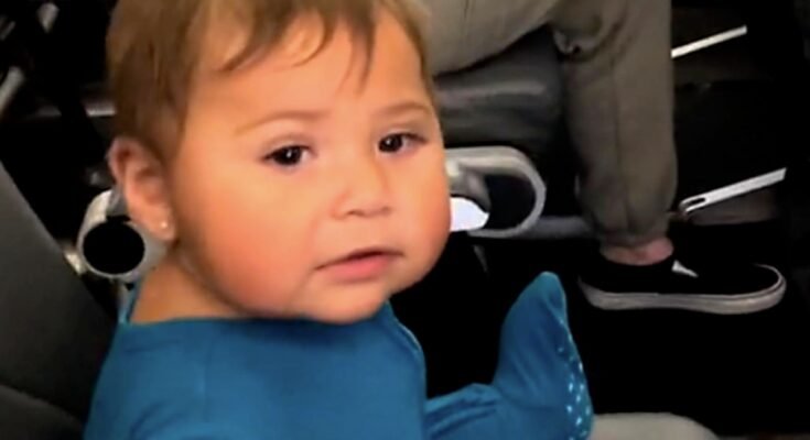 Baby Brings Joy To Passengers On Delayed Flight Viral Video